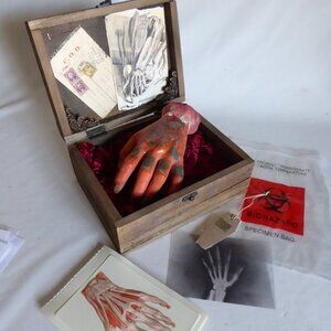OOAK NEW HALLOWEEN SEVERED HAND PROP DISPLAY BOX GAFF ODDITY